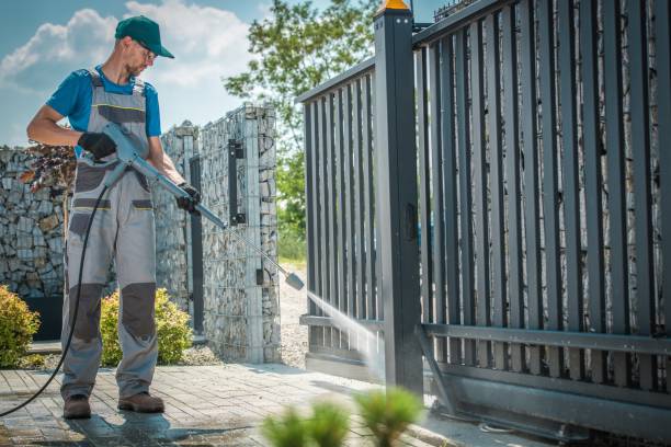 Best Graffiti Removal  in Wesley Chapel, FL