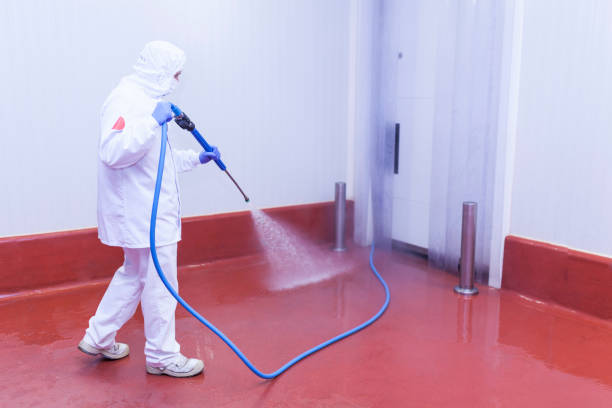 Reliable Wesley Chapel, FL Pressure Washing Services Solutions