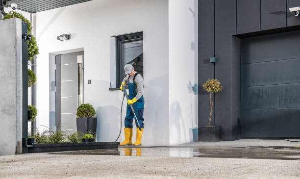 Best Fence Cleaning  in Wesley Chapel, FL